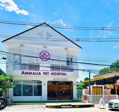 Animalia Pet Hospital