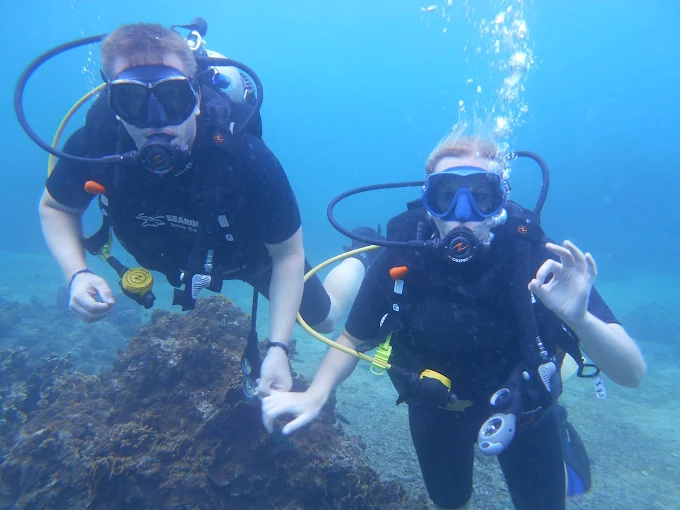 Bophut Diving School Bophut Diving School