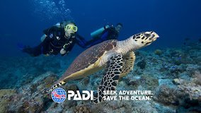 Scuba Birds (Koh Samui Branch) Scuba Birds (Koh Samui Branch)