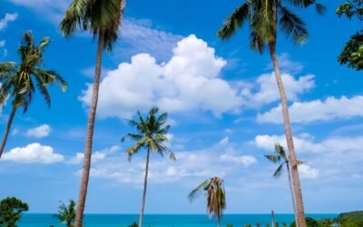 Hidden Gems in Koh Samui Only Locals Know About